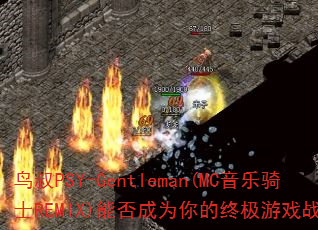 鸟叔PSY-Gentleman(MC音乐骑士REMIX)能否成为你的终极游戏战歌? 鸟叔PSY-Gentleman(MC音乐骑士REMIX)能否成为你的终极游戏战歌?