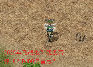 2025车载战歌?我要带你飞?DJQQ混音版? 2025车载战歌?我要带你飞?DJQQ混音版?