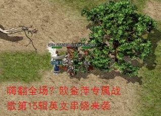 嗨翻全场?欧金萍专属战歌第15辑英文串烧来袭 嗨翻全场?欧金萍专属战歌第15辑英文串烧来袭