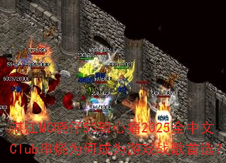 湛江MC晓仔53辑心痛2025全中文Club串烧为何成为游戏战歌首选? 湛江MC晓仔53辑心痛2025全中文Club串烧为何成为游戏战歌首选?