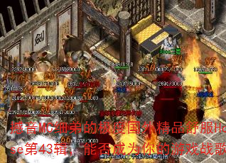 撼音MC细弟的极度国外精品舒服House第43辑,能否成为你的游戏战歌? 撼音MC细弟的极度国外精品舒服House第43辑,能否成为你的游戏战歌?