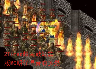 2TimesԽϹսMCлжȼ