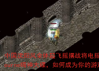 中国沈阳风全体起飞摇摆战将电摇风暴Melbourne嗨神大碟,如何成为你的游戏战歌? 中国沈阳风全体起飞摇摆战将电摇风暴Melbourne嗨神大碟,如何成为你的游戏战歌?