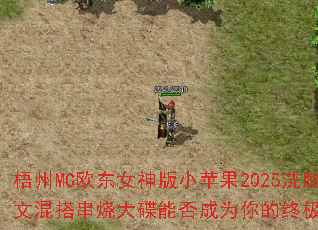 MCŷŮСƻ2025ϴĻմܷΪռϷս裿