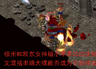 MCŷŮСƻ2025ϴĻմܷΪռϷս裿