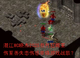 տ��MC����2025���¿�����������ʧ���˸д�����Ϸս�裿