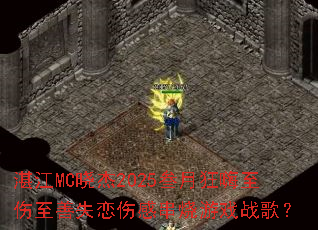 տ��MC����2025���¿�����������ʧ���˸д�����Ϸս�裿