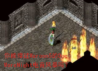 ���ܳŹ�Maroon5��OneMoreNight�����籩��