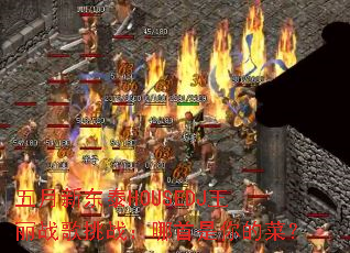 �����¶�̩HOUSEDJ����ս����ս����������Ĳˣ�