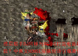 ��������DJ������MCСC�������ս�裿��Ӣ��HOUSEҡ���ֳ���������