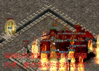 ����DJ���������ѩ˦��ҡ�ڴ�����ܷ��Ϊ�����Ϸս�裿