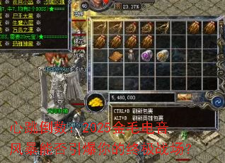 ����������2025��ë�����籩�ܷ���������ռ�ս����