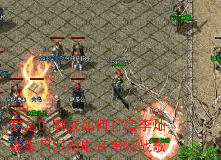 �޶�Dj������δ������ɭ�����ɶԵ�������ս��