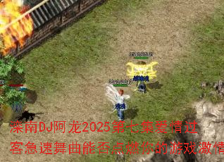 ����DJ����2025���߼�������ͼ��������ܷ��ȼ�����Ϸ����