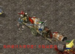 �ҵİ�ֻΪ����ڣ�����ս���