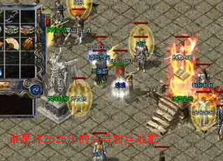 ˭����2025���ͷ�ŷ�˿ս��