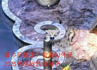 ���������ߣ�����DJΰ��2025�˸�ս��ȫ����