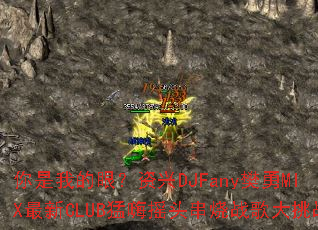 �����ҵ��ۣ�����DJFany����MIX����CLUB����ҡͷ����ս�����ս