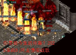 �����ҽ�����������2025����Dj������ҡս��