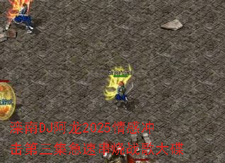 ����DJ����2025��г�����������ٴ���ս����