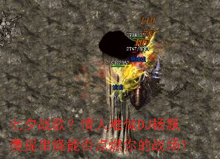 ��Ϧս�裿��������DJ��Ʈ��ҡ�����ܷ��ȼ���ս����