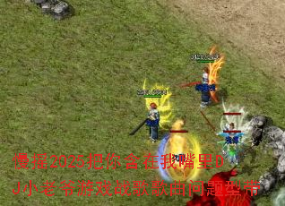 ��ҡ2025���㺬��������DJС��ү��Ϸս����������ʹ�