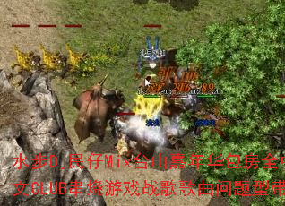 ˮ��Dj����Mix̨ɽ���껪����ȫ����CLUB������Ϸս����������ʹ���