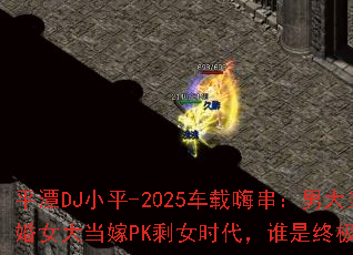ƽ̶DJСƽ-2025�����˴����д󵱻�Ů�󵱼�PKʣŮʱ����˭���ռ�ս�裿