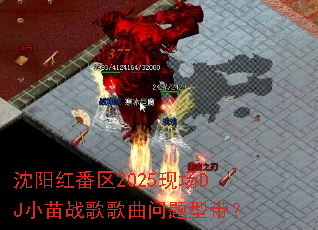 �����췬��2025�ֳ�DJС��ս����������ʹ���