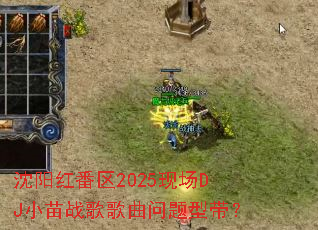 �����췬��2025�ֳ�DJС��ս����������ʹ���