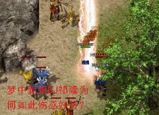 ��������DJ��¡Ϊ������˸к�����