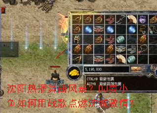 �����Ȳ������籩��DJ��С�������ս���ȼ��Ǽ��飿