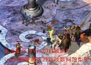 ˮ��Dj����Mix2025��ƷFingͷ��Ұ������Ϸս�������ʹ�