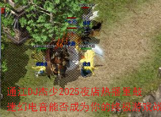 ͨ��DJ����2025ҹ���Ȳ��ع��Իõ����ܷ��Ϊ����ռ���Ϸս��