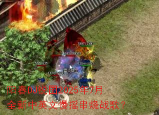 ����DJ����2025��7��ȫ����Ӣ����ҡ����ս�裿