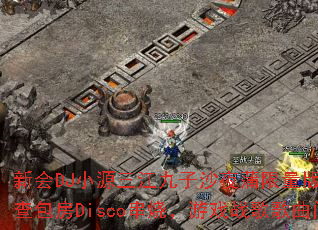 �»�DJСԴ��������ɳҹ��������KTV�˵��ɲ�����Disco���գ���Ϸս����������ʹ���