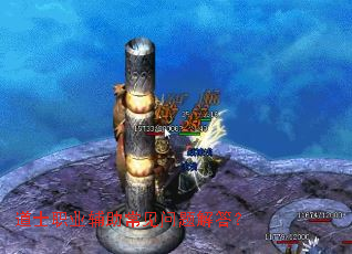 ��ʿְҵ��������������