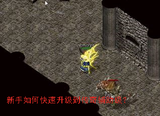 ������ο������������渨������