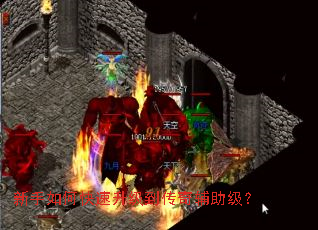 ������ο������������渨������