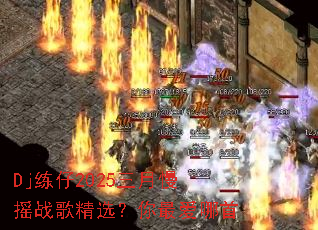 Dj����2025������ҡս�辫ѡ���������