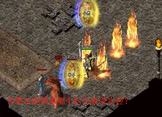 ������������ĸ�ְҵ���ܻ�ӭ��