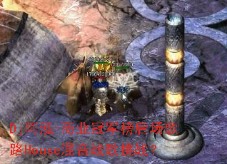 Dj����-��ҵ�ھ���󳡸�·House����ս����ս��