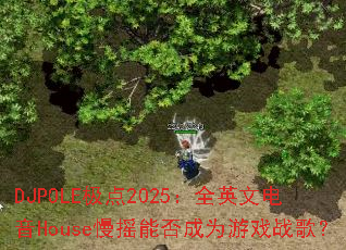 DJPOLE����2025��ȫӢ�ĵ���House��ҡ�ܷ��Ϊ��Ϸս�裿