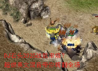 DJʯͷ2025ս�贮�գ���ȼӢ�Ļ��������˷�ȫ��