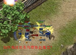 ��θ�Ч���˴�����Ѫħ����