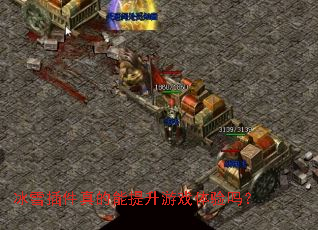 ��ѩ��������������Ϸ������