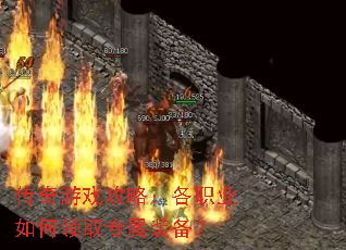 ������Ϸ���ԣ���ְҵ�����ȡר��װ����