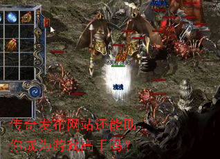 ���淢����վ���������Ϊ��Ϸ������