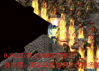 DJFeiZiӢ��HOUSE���മ�մ������Ϸս����ε�ȼս�����飿