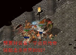 ��Ҫ��װ����ѧ���ô��渨����ɱ����BOSS��